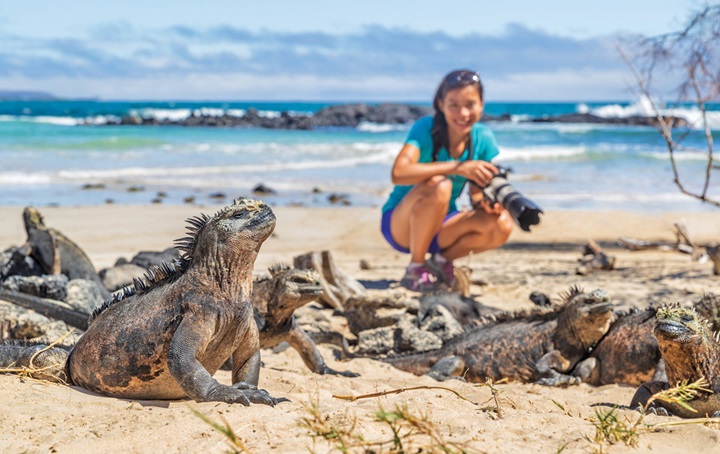 Beach with sea in background. Woman photographing Komodo Dragons.